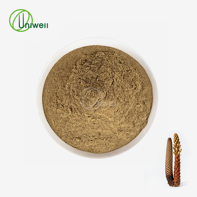 Cistanche Tubulosa Extract Powder